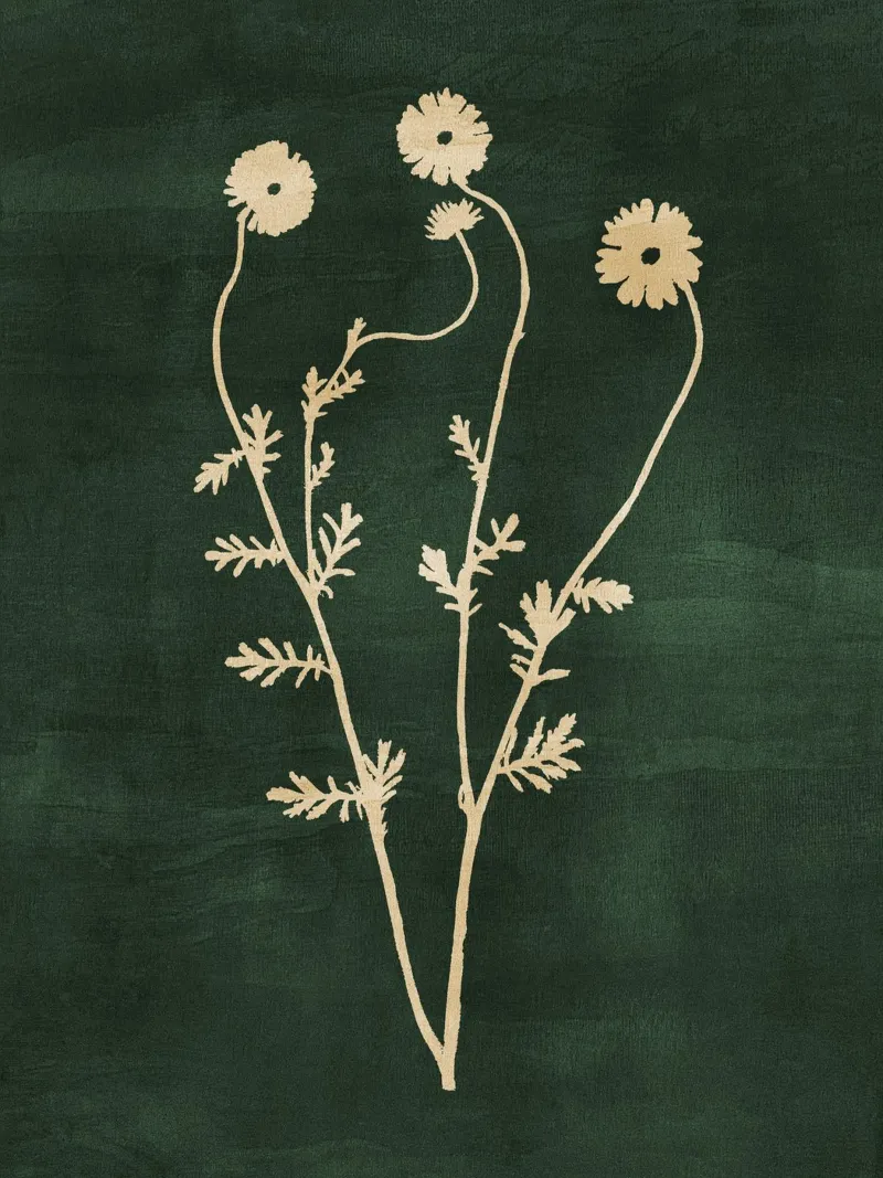 Abstract Botanical no. 10 plexiglass da adrianooliveira