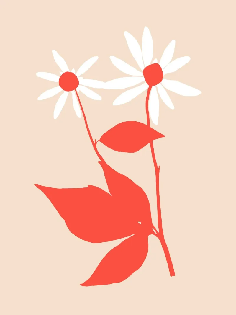 Rudbeckia Flower - Coral poster da adrianooliveira
