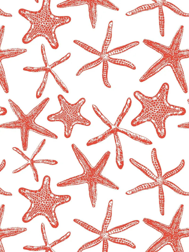 Stelle del mare in rosso pellicola backlit da Painted Nature