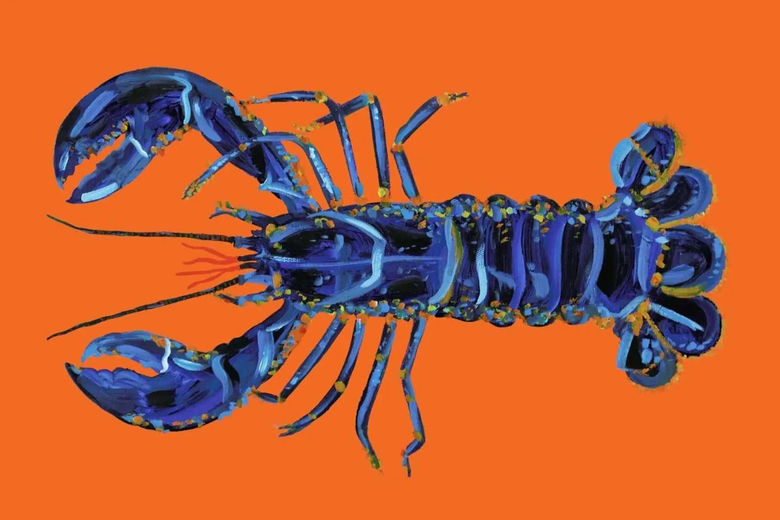 Lobster On Orange poster con telaio in plastica da Alice Straker