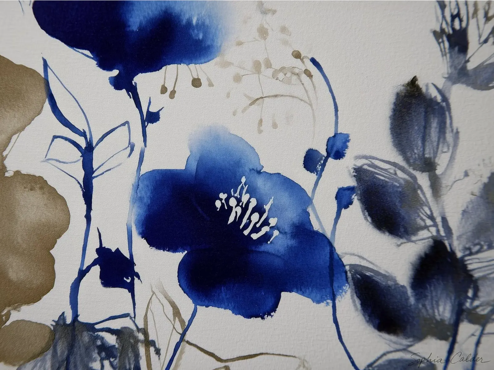 Fiore indaco carta hahnemühle da Sophia Calder Studio