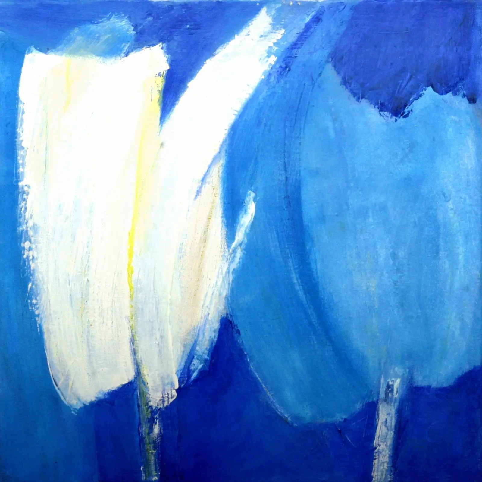 Tulpe I plexiglass da Anita Gewald