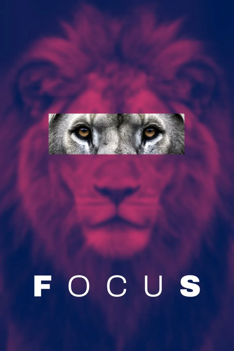 FOCUS – Lion Power Poster alu-dibond by Artezza