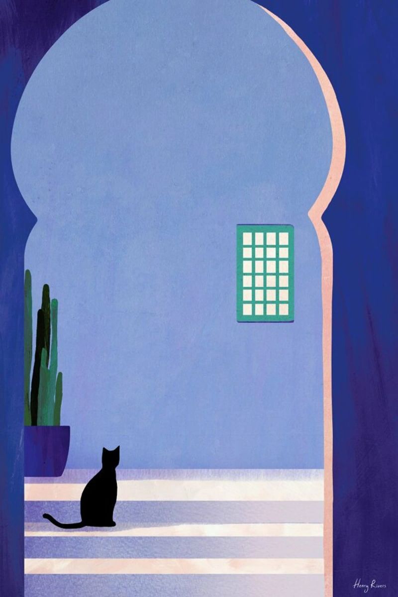 Cat in Morocco Poster mit Aluminium Rahmen von Henry Rivers