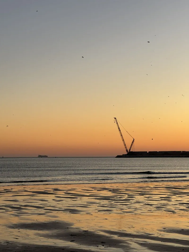 Birds in Flight and Distant Crane during sunset at Praia de hahnemühle by byrieneke