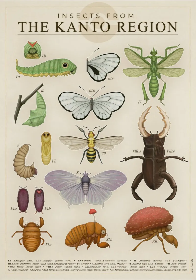 Insetti della regione del Kanto poster da Lacerdaprint