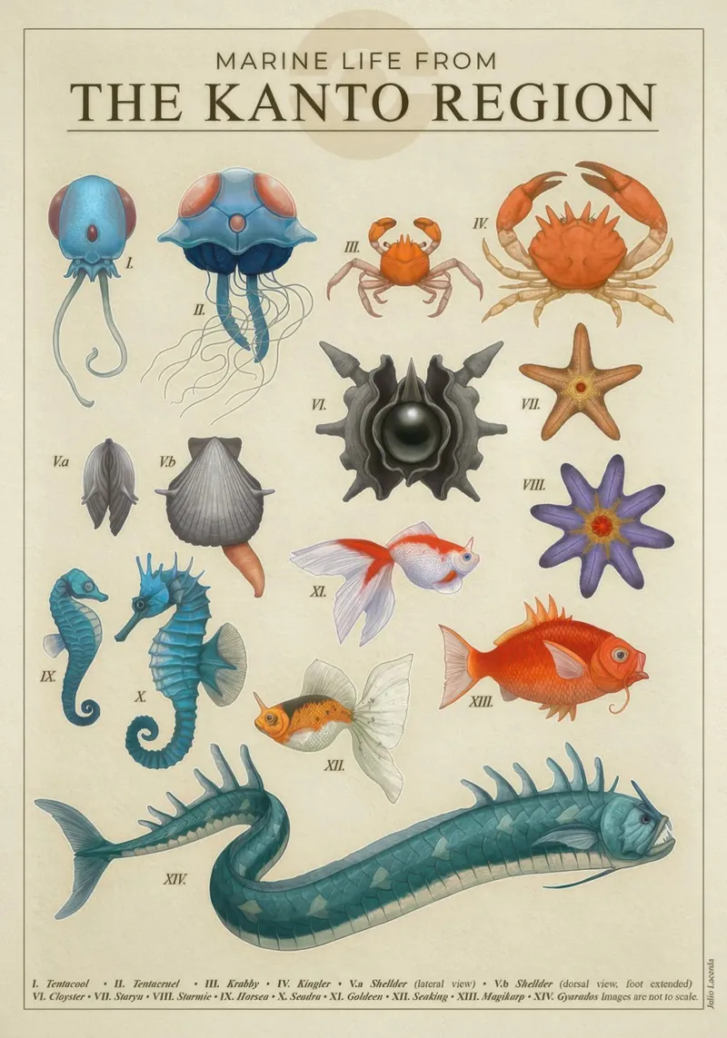 Poster sulla vita marina del Kanto poster da Lacerdaprint
