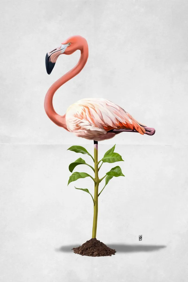 Planted (Wordless) pellicola backlit da Rob Art | Illustration