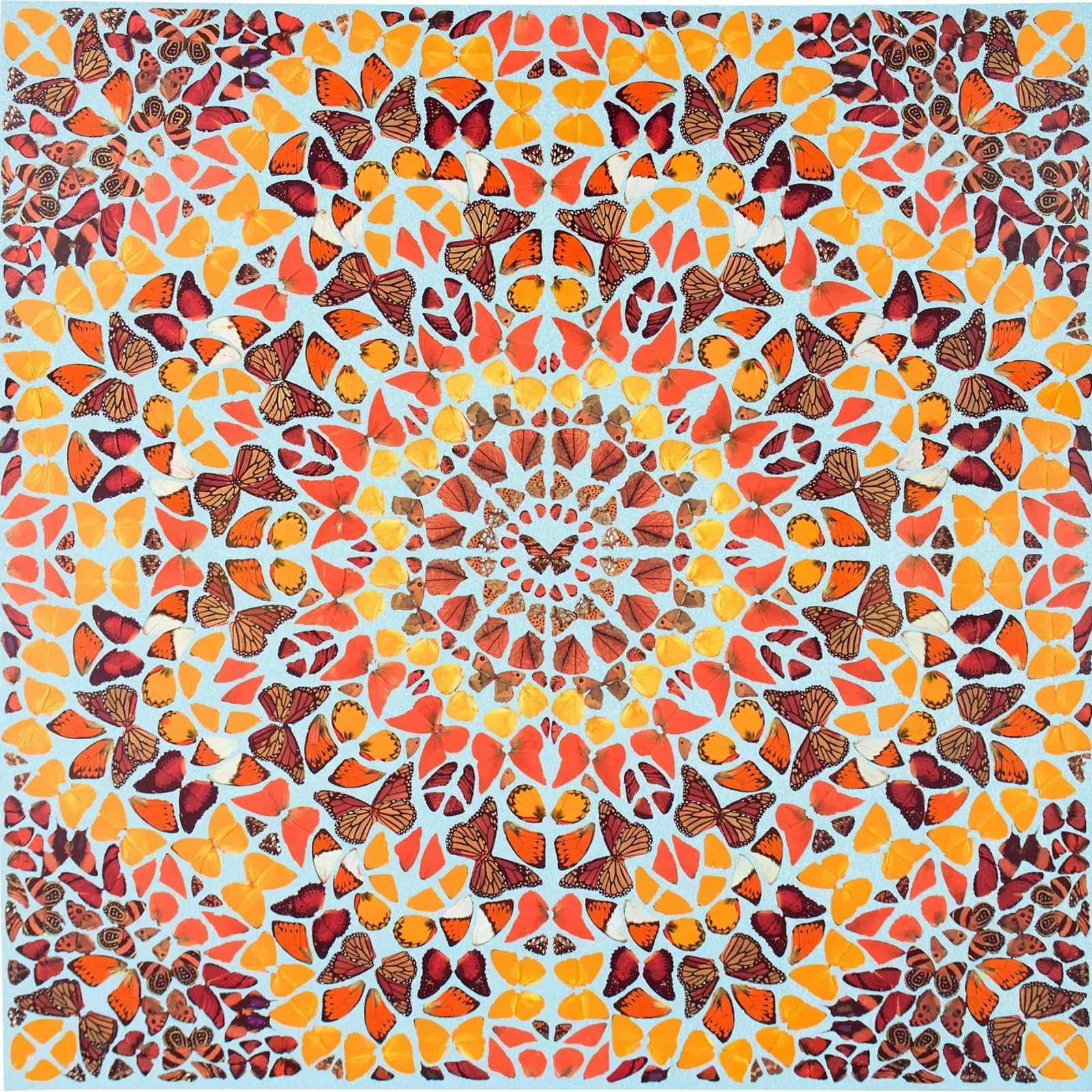 Damien Hirst - Butterfly Print acrylic glass by Romeyoprints