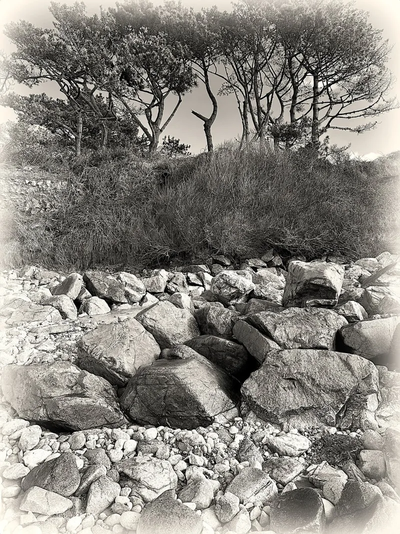 BW 70 pellicola backlit da Thierry vobmann photography