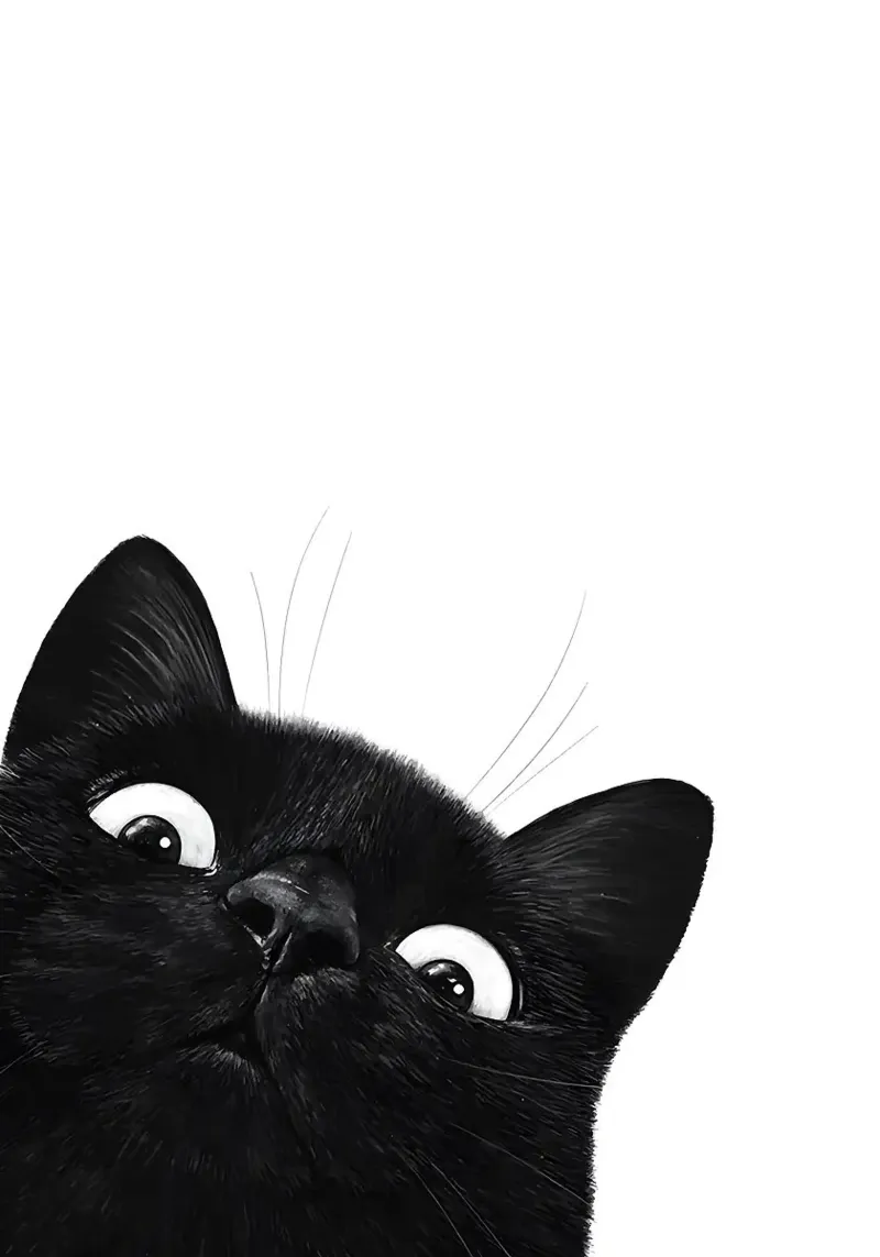 Gatto nero curioso poster da Matthew P Link