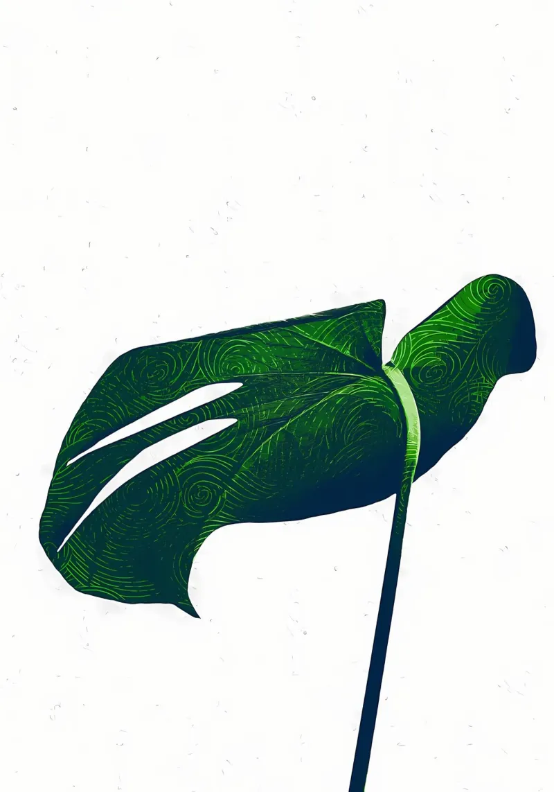 foglia natura monstera poster con telaio in plastica da Patrick L Lord