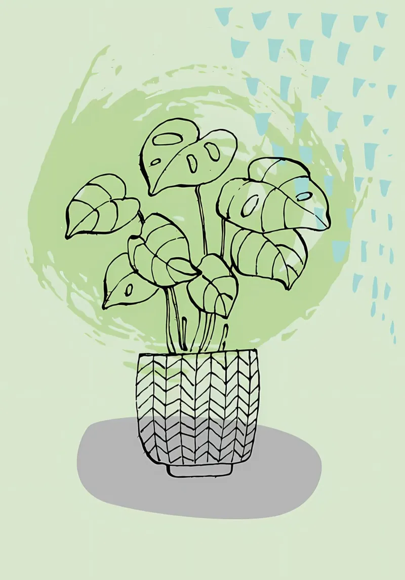 pianta in vaso monstera green pannello forex da Patrick L Lord