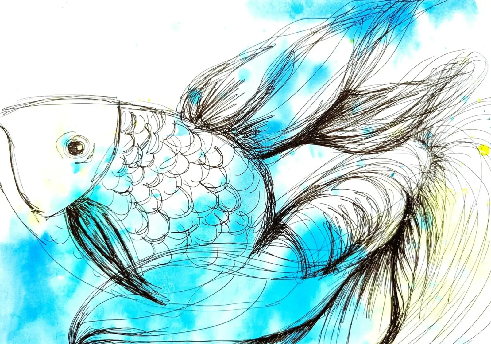 Fisch pellicola backlit da sum2proveDesign