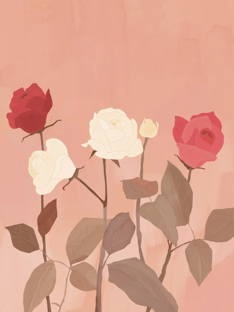Rose bianche e rosse pellicola backlit da ThingDesign