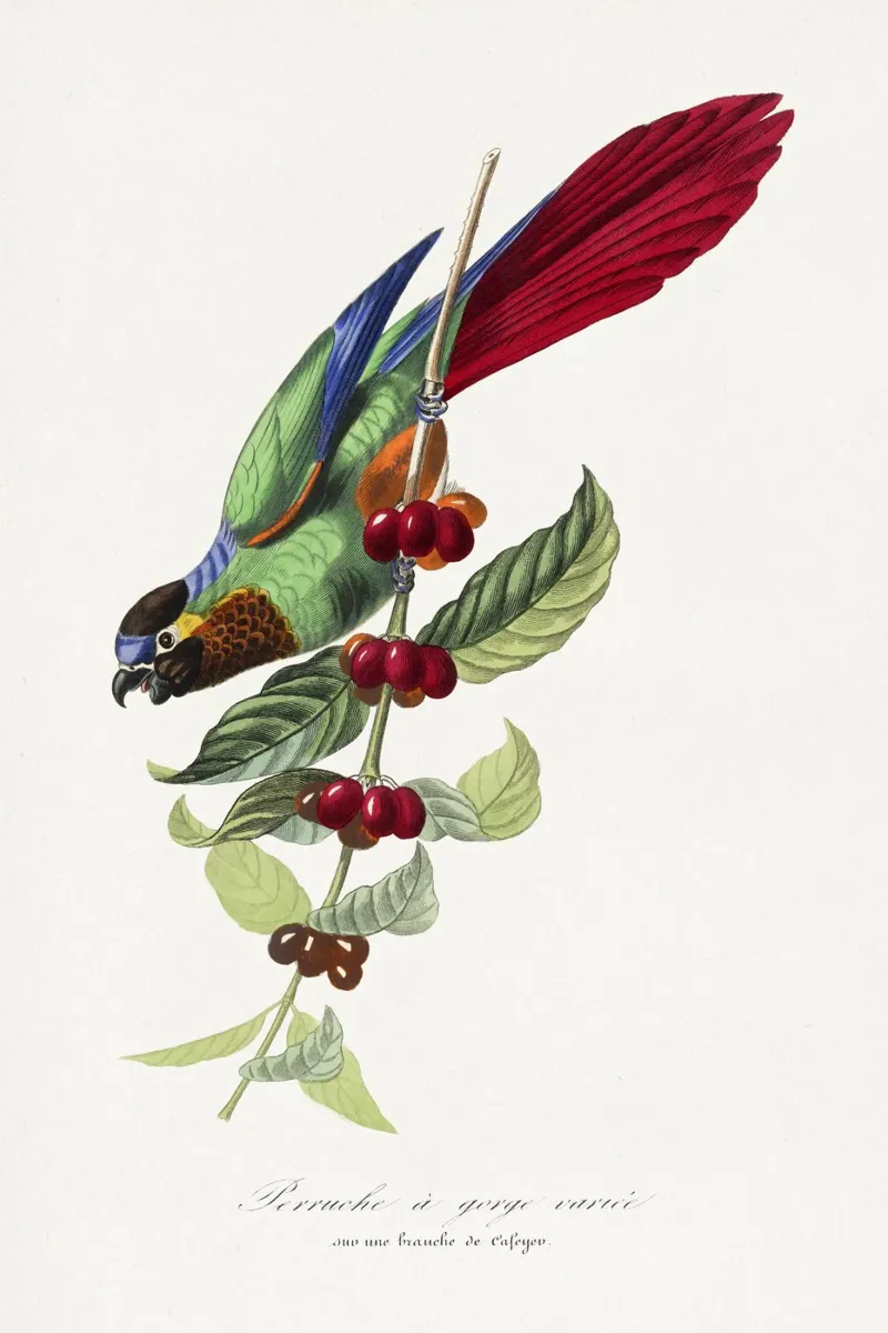 Parakeet bird painting pellicola backlit da vintageshop
