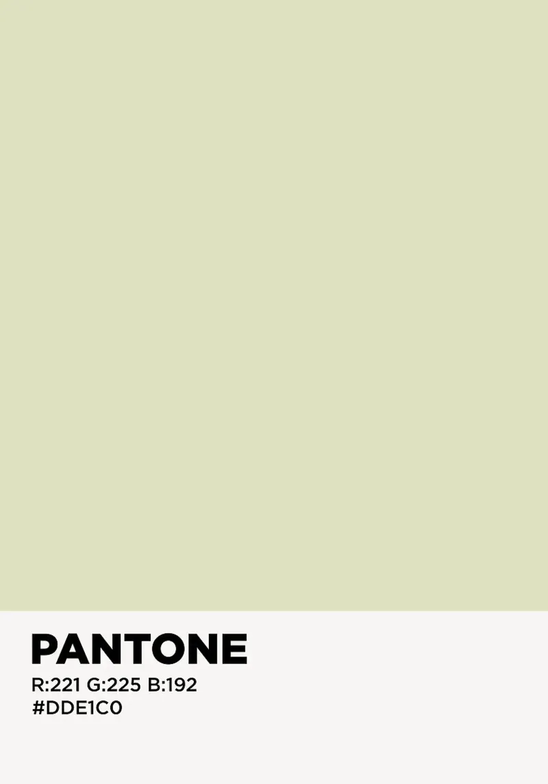 pantone color palette carta hahnemühle da ColorShop
