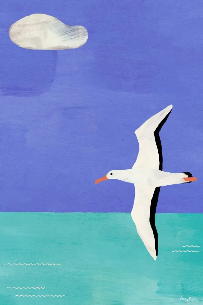 Albatross And The Cloud alluminio dibond da Henry Rivers