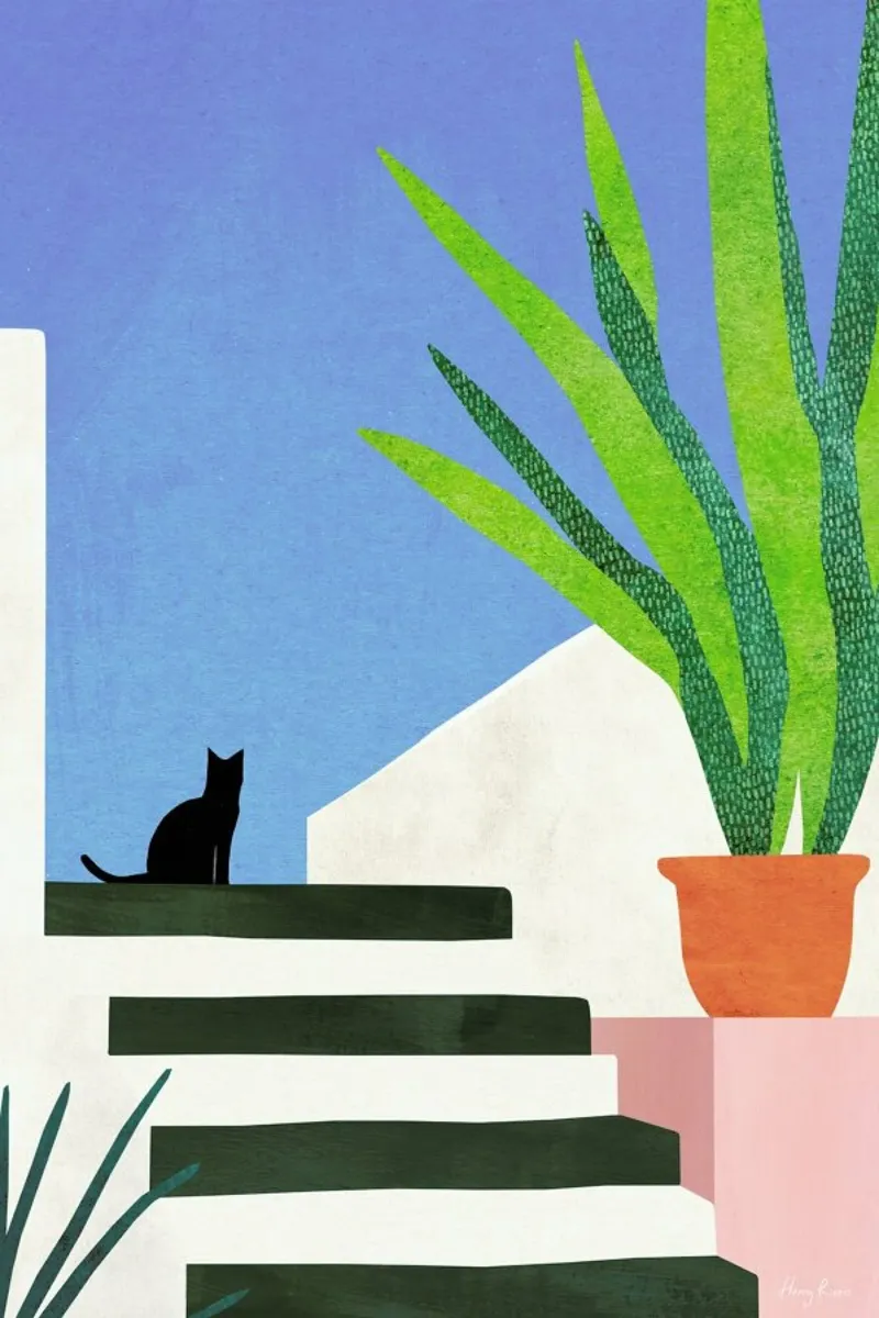 Cat in Greece alluminio dibond da Henry Rivers