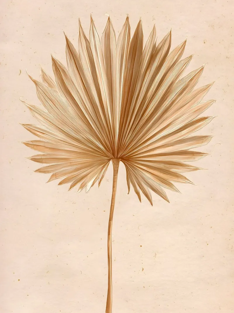 Palmwedel Fächerpalme Hahnemühle von Studio Verde
