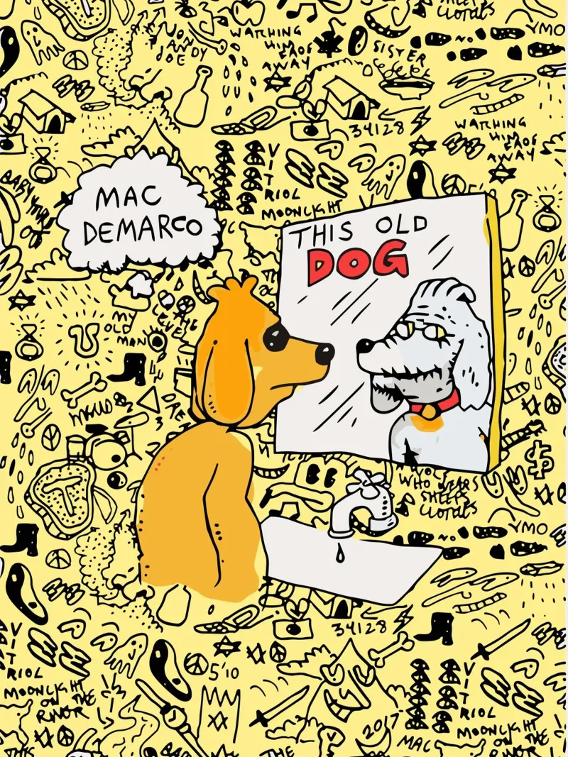 Mac Demarco This Old Dog tela con Cornice a cassetta da esoygeboys