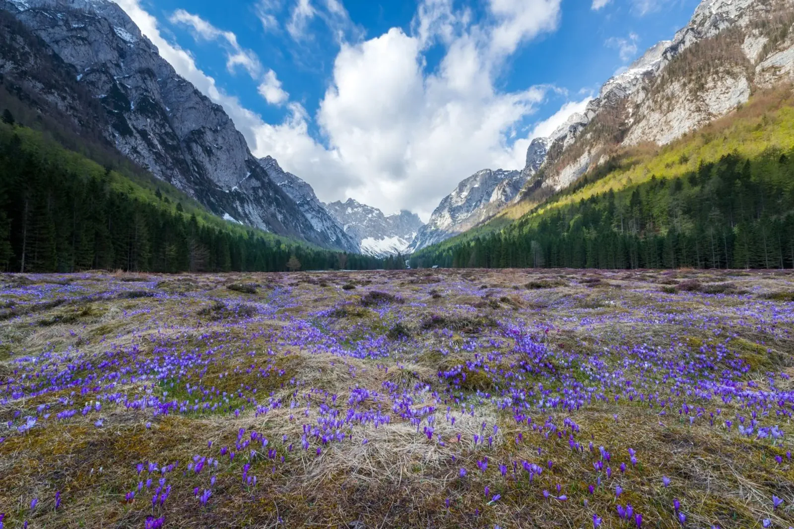 Paesaggio onirico poster da PhotoVibe Decor