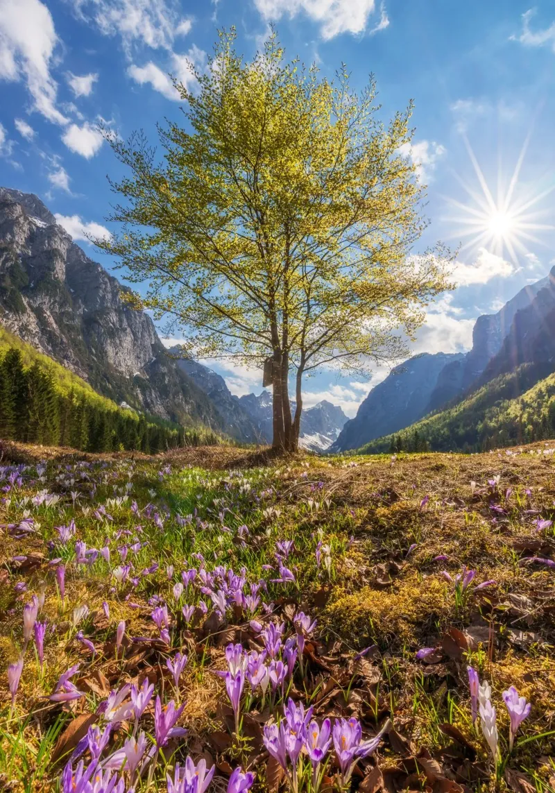 Dreamlike Landscape poster with plastic frame by PhotoVibe Decor