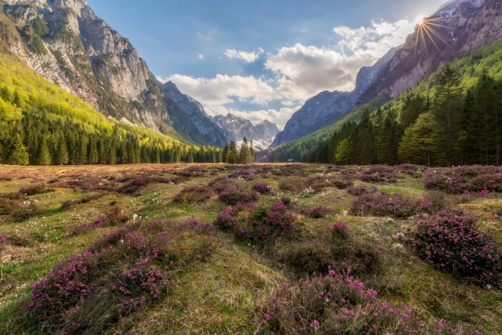 Dreamlike Landscape poster with aluminum frame by PhotoVibe Decor