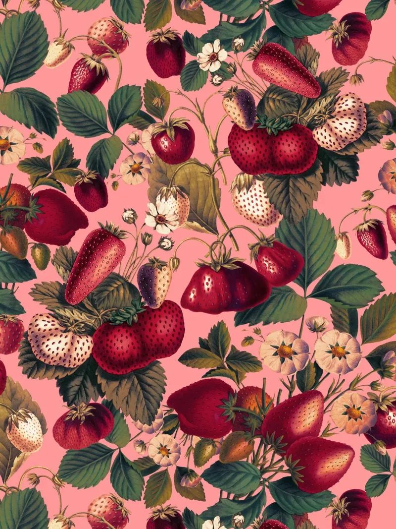 Strawberry Fields Forever VIII plexiglass da burcukorkmazyurek