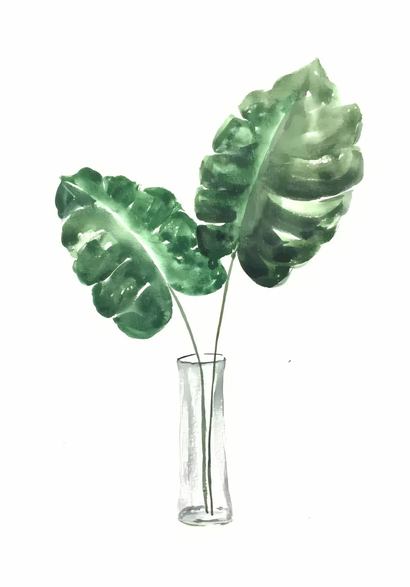 monstera foglie verdi poster con telaio in alluminio da Patrick L Lord