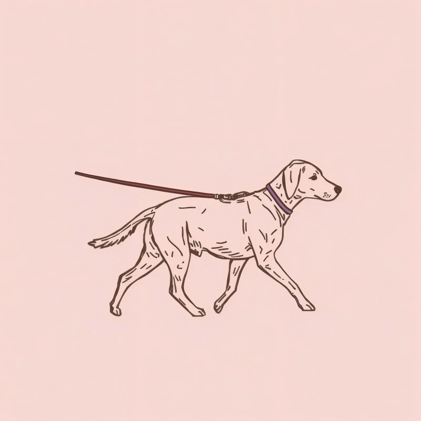 Hund geht an der Leine Skizze auf einem blassrosa Hintergrund Acryl-Glas von DesignDoodle