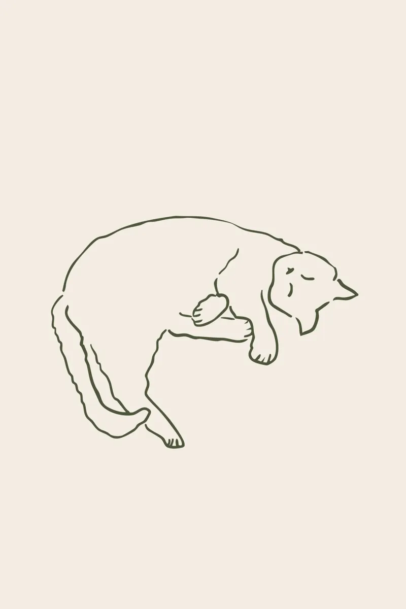 Sleepy Cat carta hahnemühle da karenmenzenbach