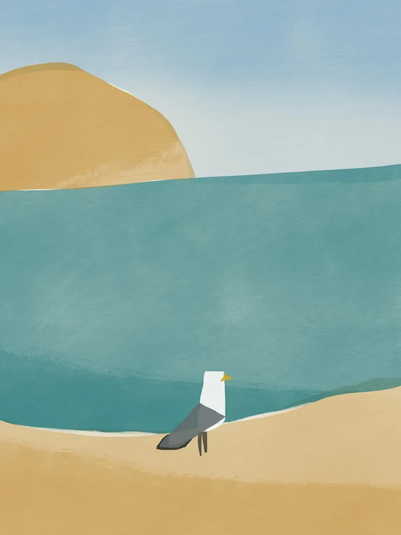 Zeemeeuw openhartig canvas met Baklijst van Little Dean