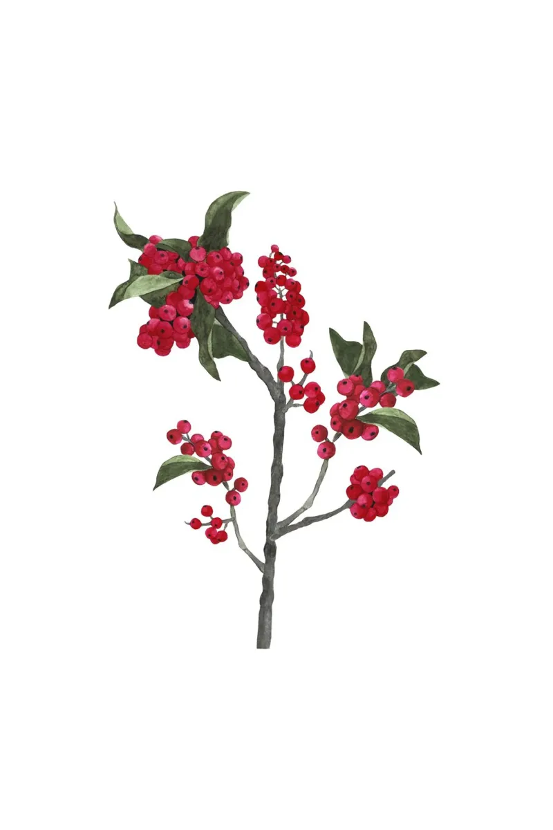 Red Watercolor Berries poster da karenmenzenbach