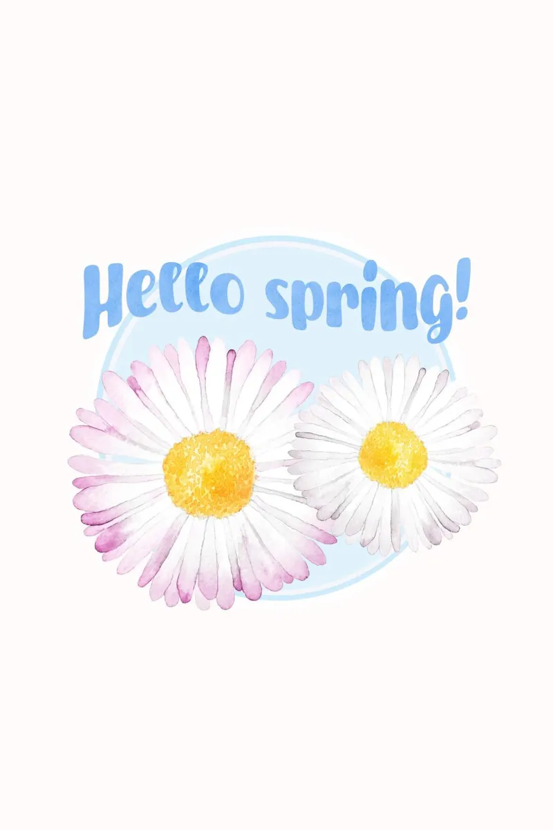Hello Spring Daisies alluminio dibond da karenmenzenbach