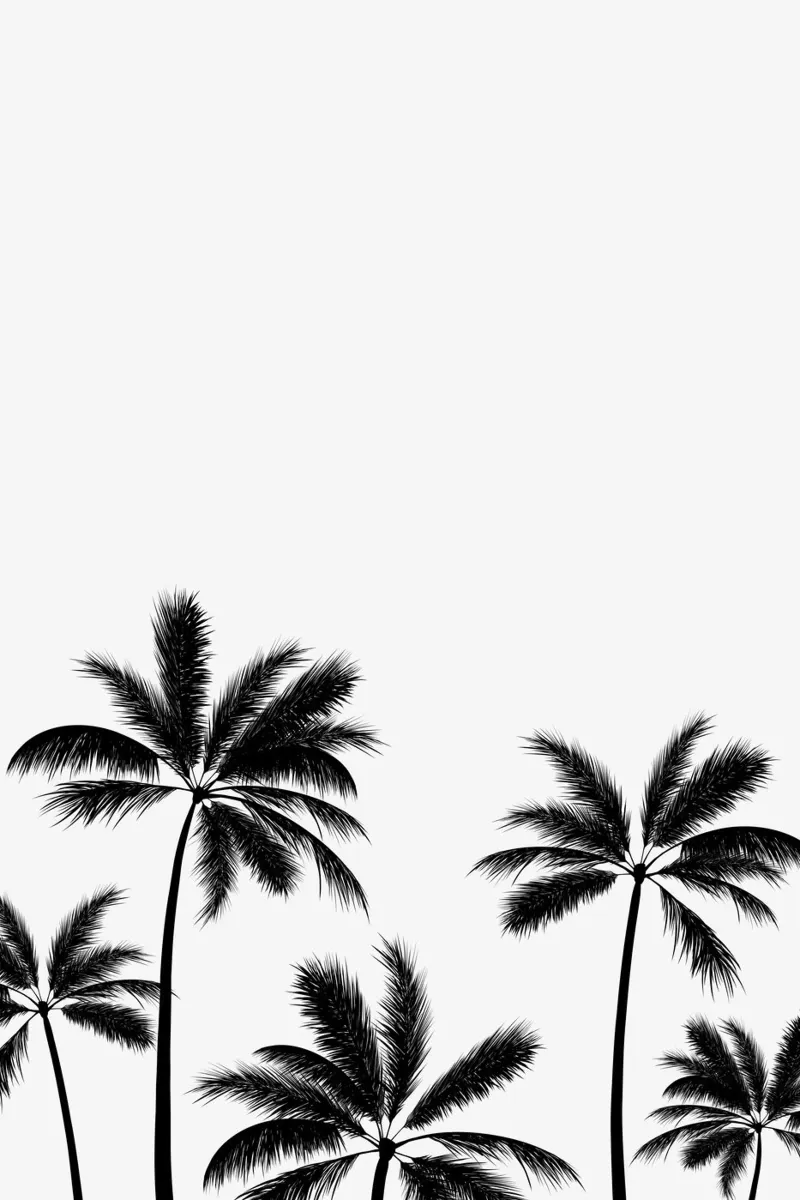 Monochrome Palmtrees plexiglass da karenmenzenbach