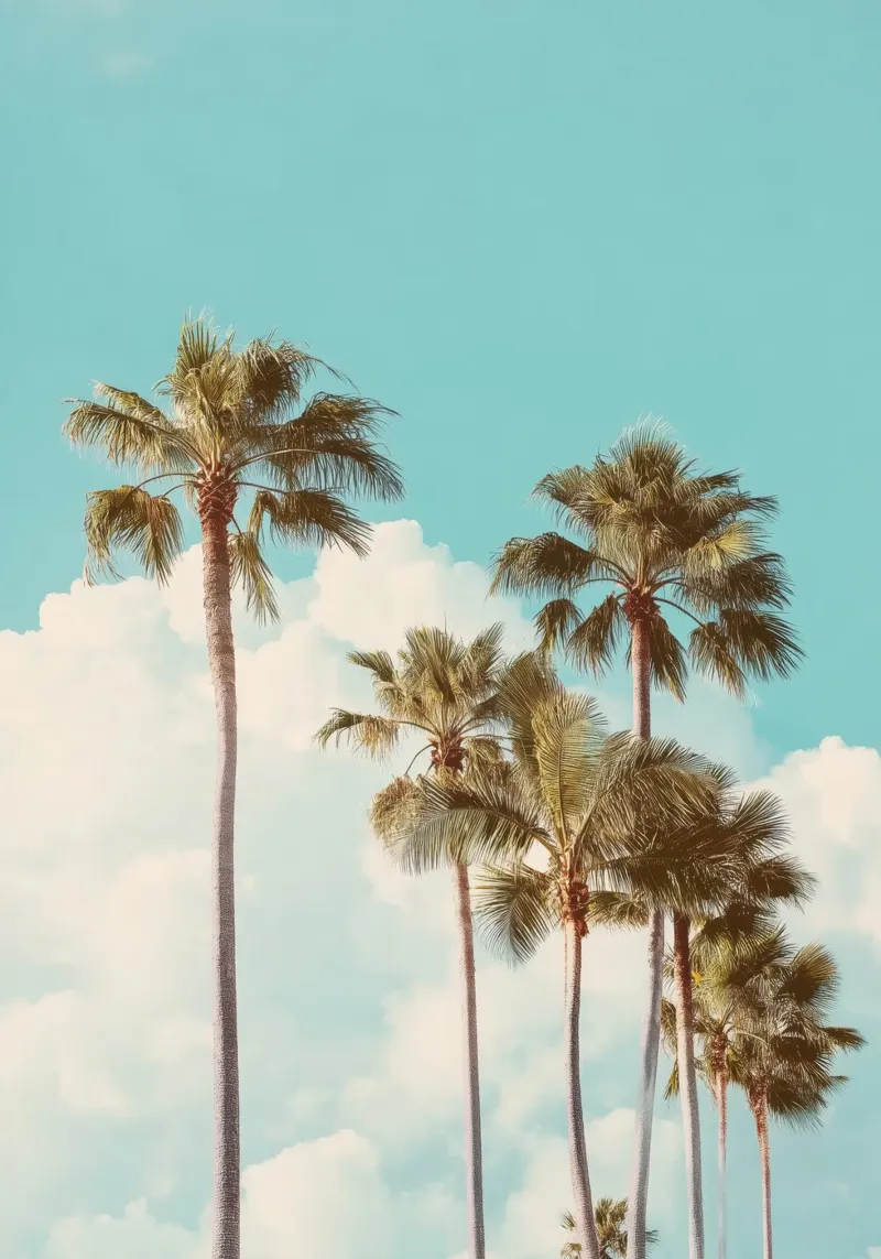 California Dream – Retro Palm Tree Print pellicola backlit da Vela Luna