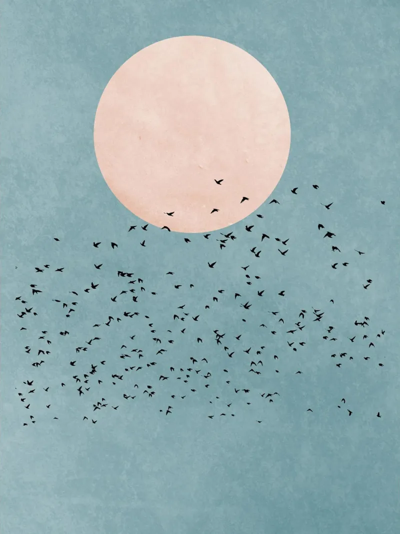 Blue Sky Birds hahnemühle by muench benjamin