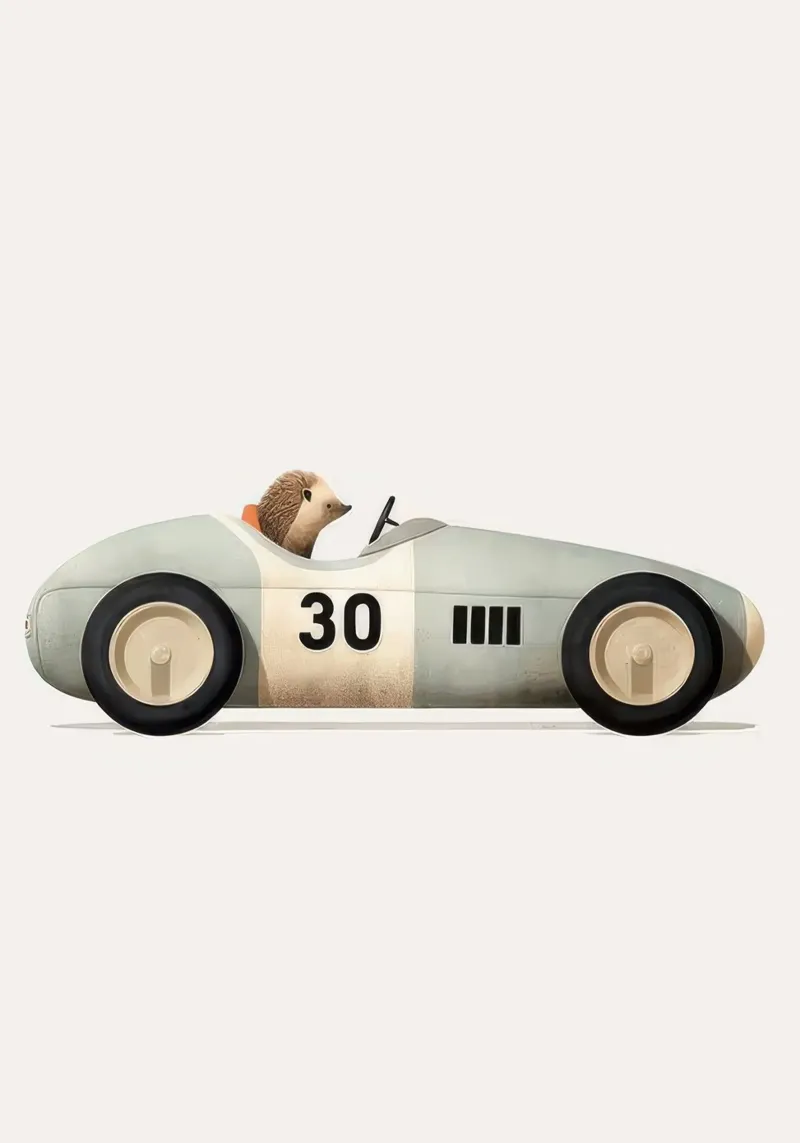 riccio in auto poster con telaio in plastica da muench benjamin