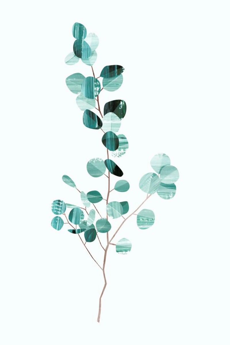 Eucalyptus poster de Goed Blauw
