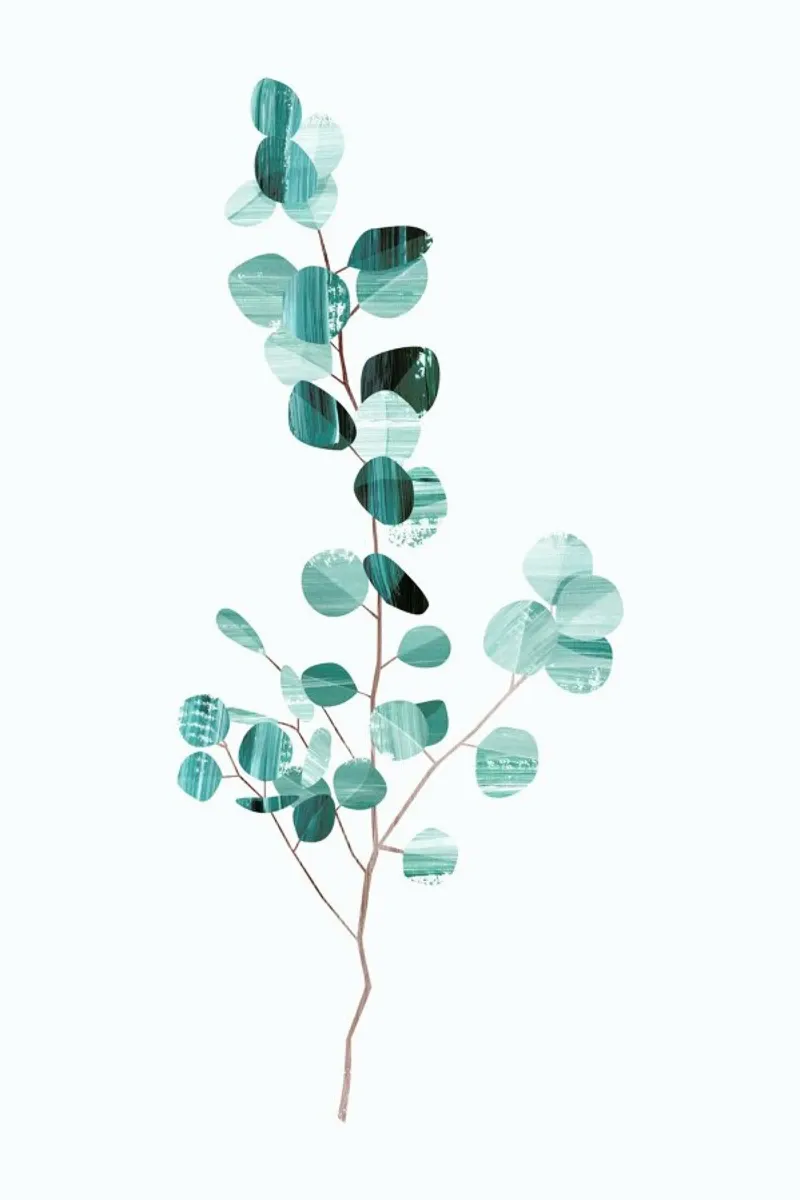 Eucalyptus pellicola backlit da Goed Blauw