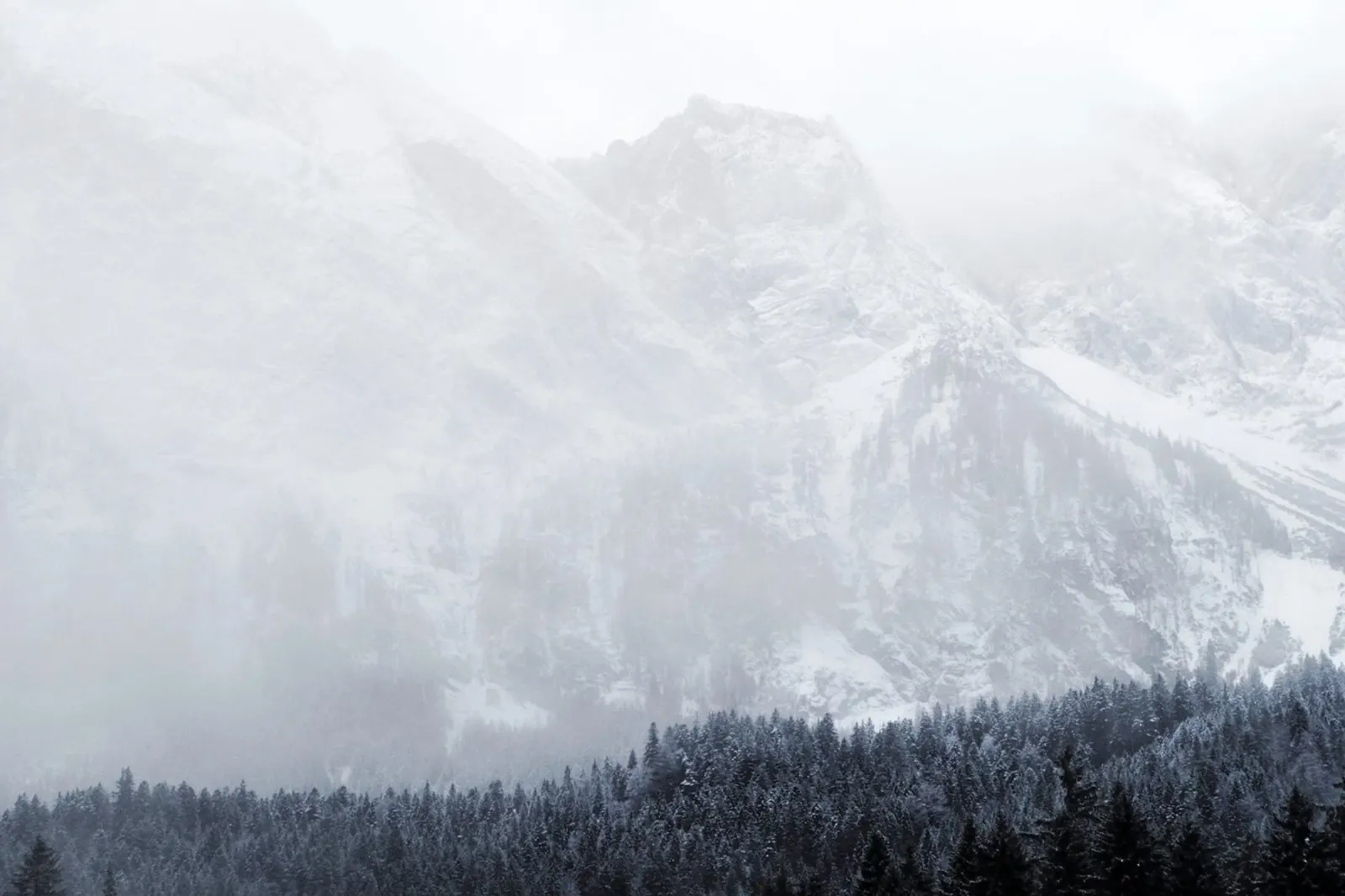 Winter's Breath placa de forex de zenitt