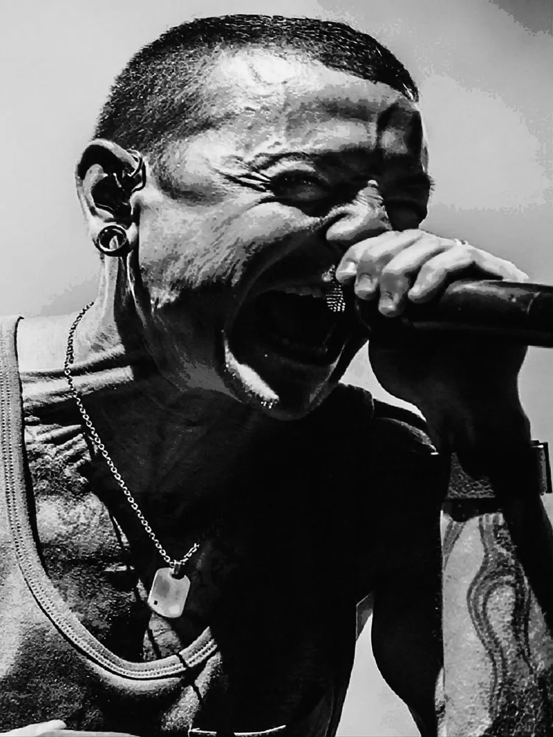Le groupe Twenty One Pilots hahnemühle de vanhesling