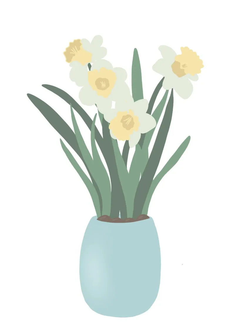 Hello Narcisso poster mint carta hahnemühle da Mint Illustrations Pastels