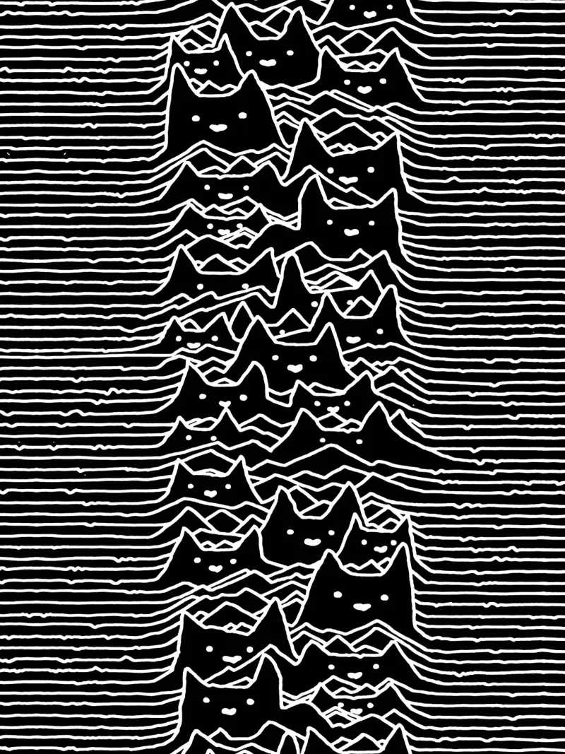 Cats And Waves Joy Division Kunst Hahnemühle von music soul