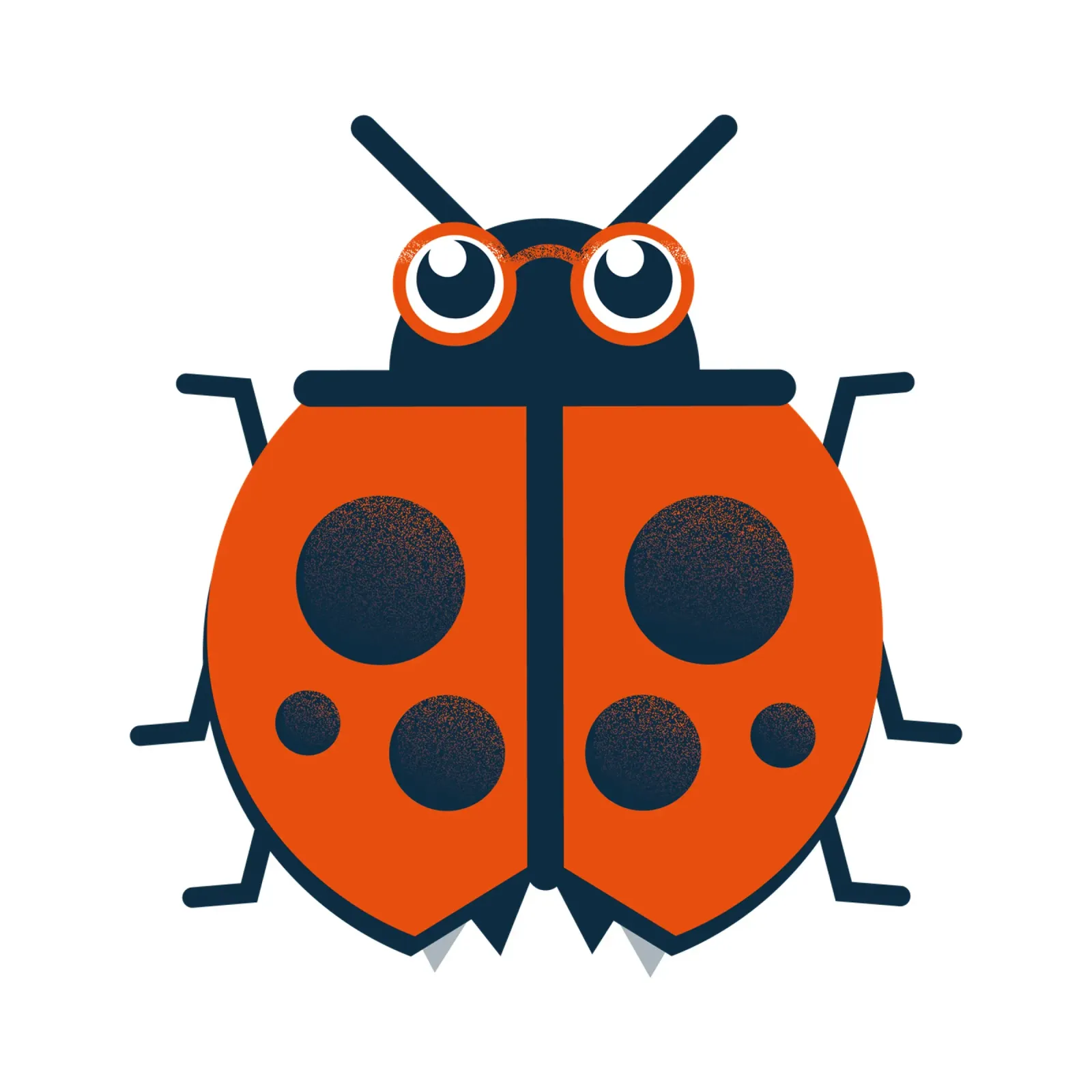 Coccinella - La coccinella fortunata pellicola backlit da 2fevrierArtStudio