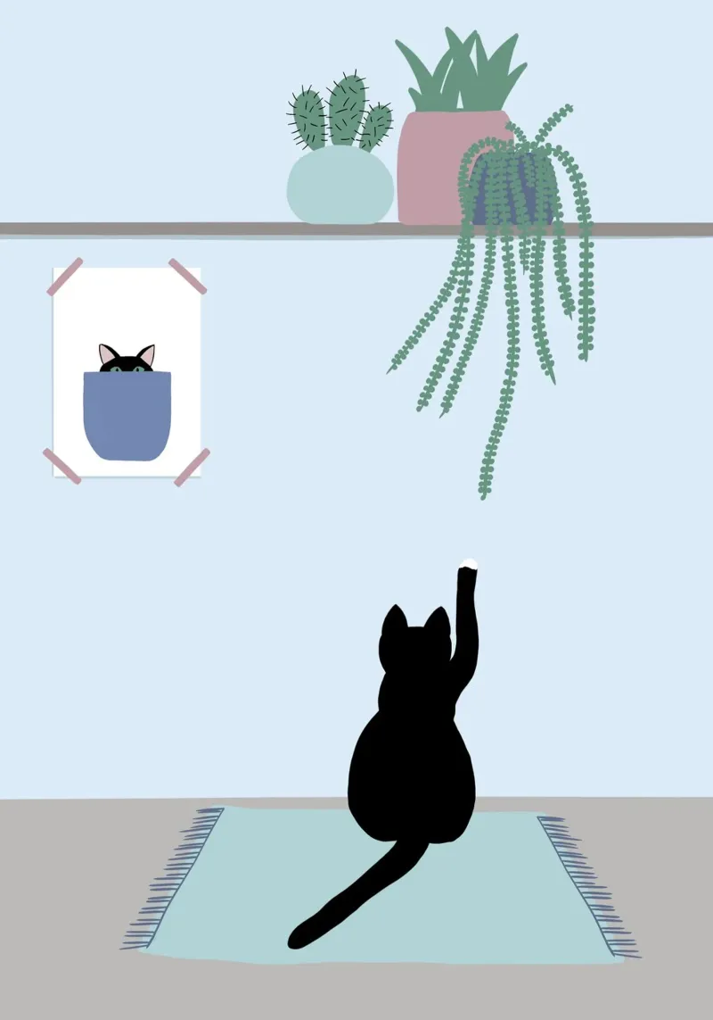 Poster di Hello Playful Black Cat carta hahnemühle da Mint Illustrations Pastels