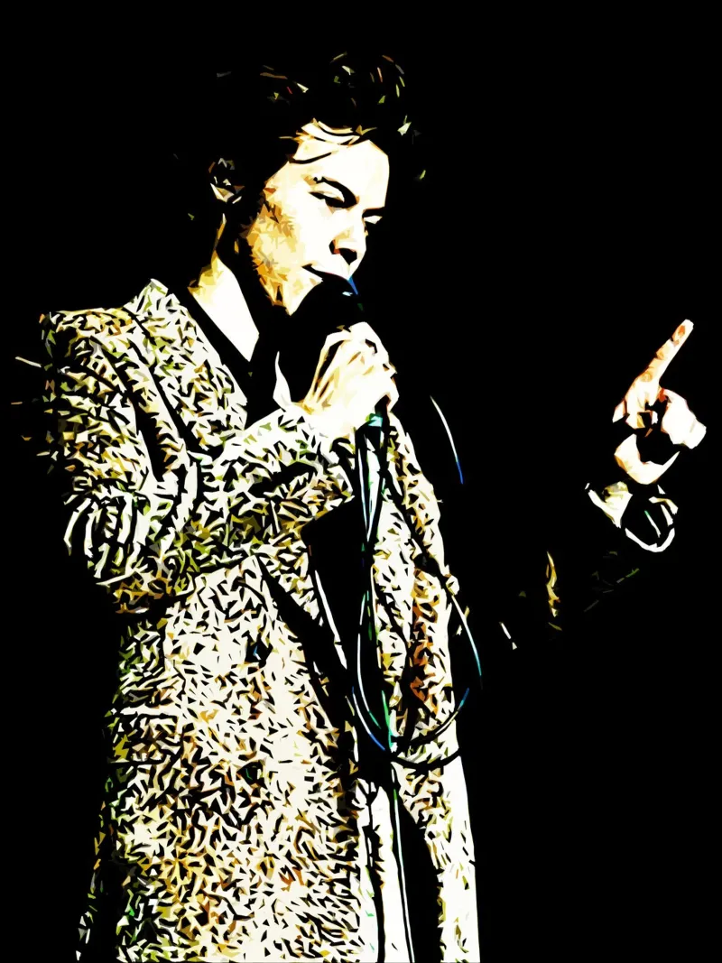 Poster artistico del concerto di Harry Styles carta hahnemühle da music soul