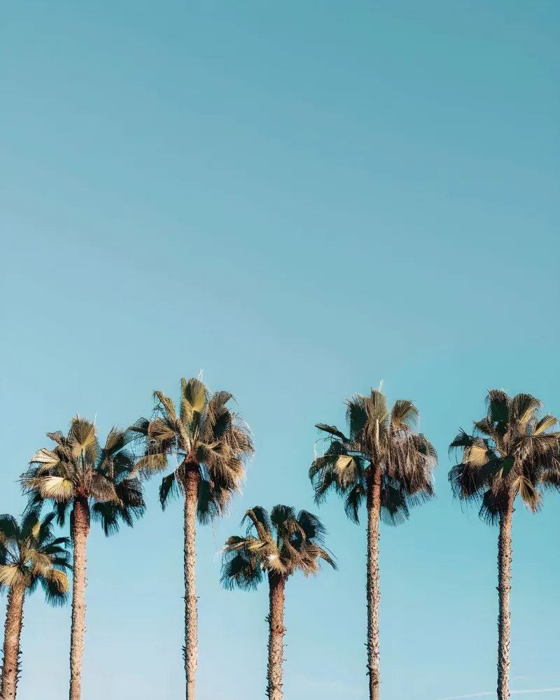 California Dreamscape hahnemühle de Wanderlust Vibes