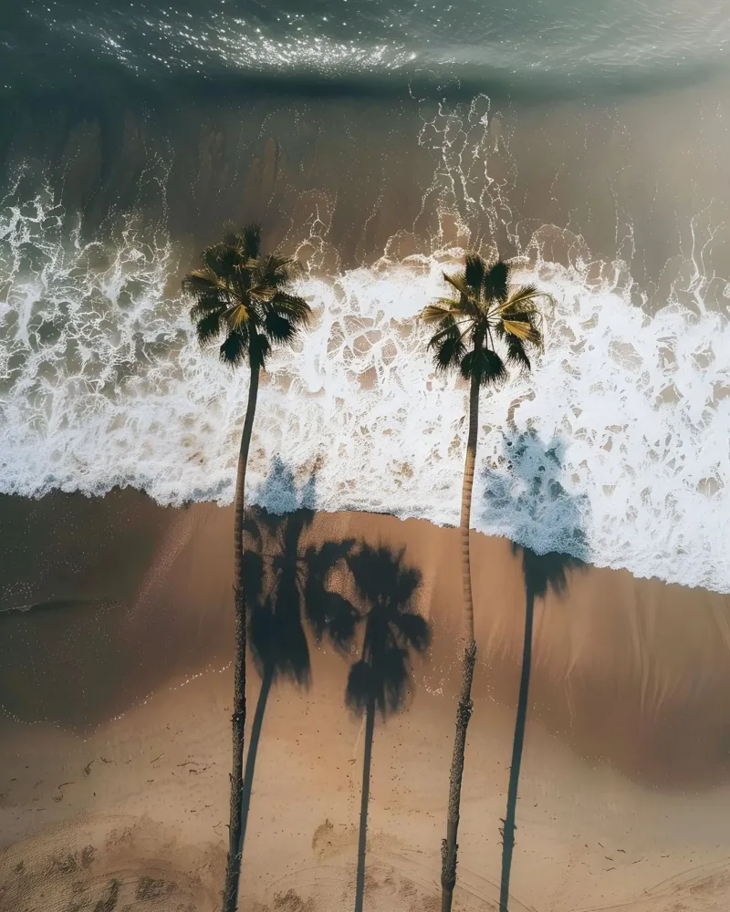 California Dreamscape hahnemühle by Wanderlust Vibes